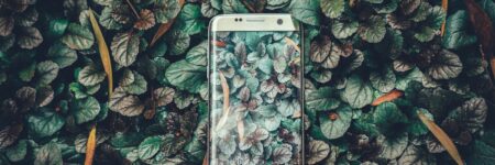 silver titanium Samsung Galaxy S7 edge on leaves graphic surface